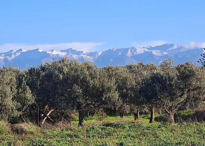 Villa Pagoni Residence Selini Villas N 1 Kolymbari Chania
