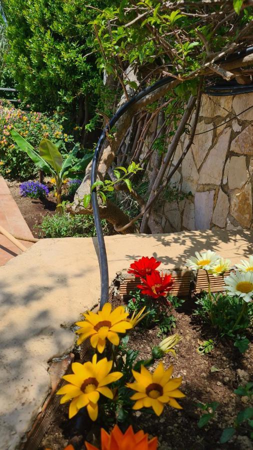 Holiday home Pagoni Selini N 1 Chania *