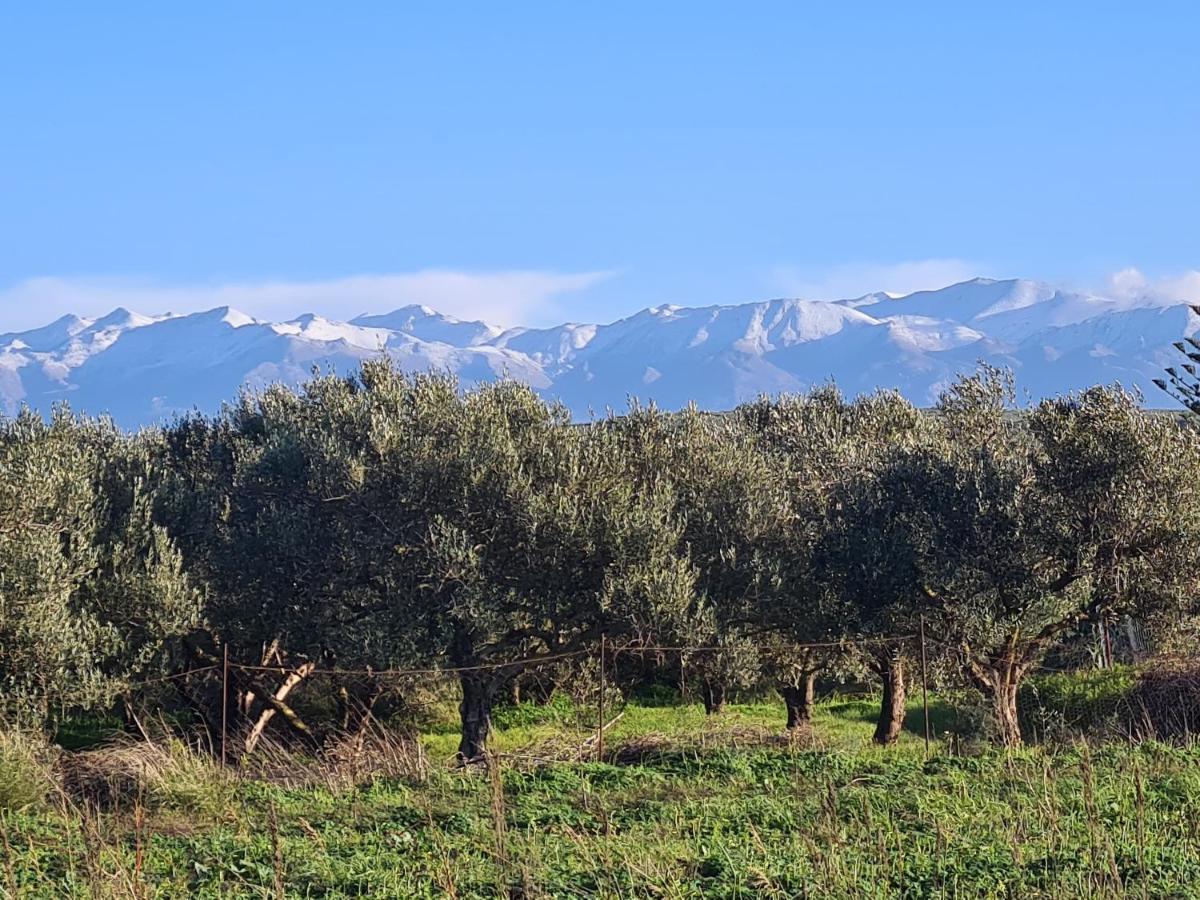 Casa vacanze Pagoni Selini N 1 Chania
