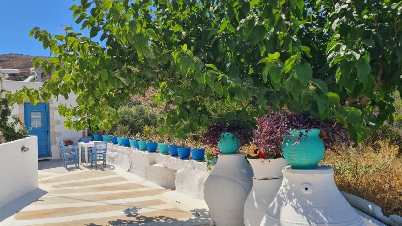 Pagoni Selini N 1 Chania Σπίτι διακοπών *